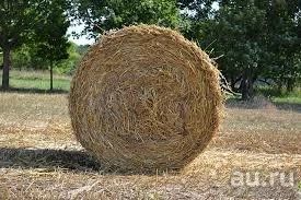 Лот: 18482630. Фото: 1. Солома. Корма