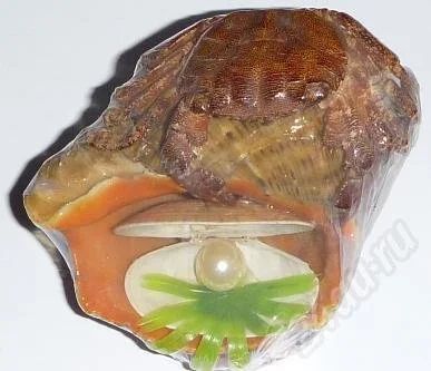 Лот: 537063. Фото: 1. Краб на рапане с жемчужницей... Другое (сувениры, подарки)