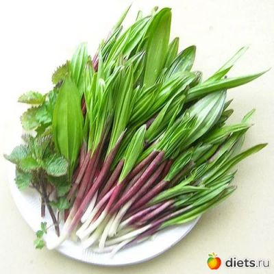 Лот: 5483619. Фото: 1. Черемша лесная не тепличная! из... Овощи, фрукты, зелень