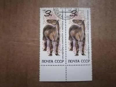 Лот: 25899963. Фото: 1. Фауна. Марки СССР 1990 год. Сцепка. Марки