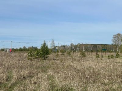 Лот: 25717858. Фото: 1. участок , посёлок городского типа... Земельные участки