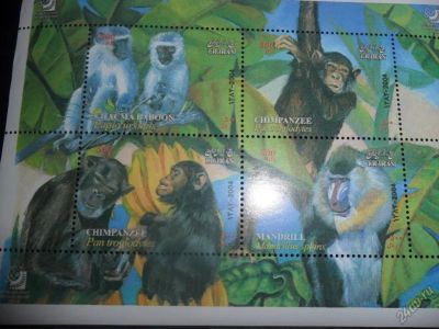 Лот: 5903159. Фото: 1. почтовые марки Иран 2009 обезьяны. Марки