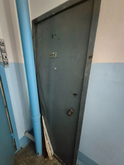 Лот: 25671353. Фото: 1. Дверь железная входная. Фурнитура, комплектующие