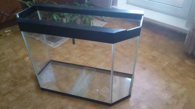 Лот: 4113263. Фото: 1. Аквариум (панорамный) 100 литров... Аквариумы, террариумы