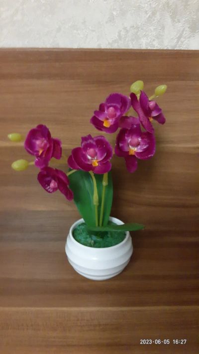 Лот: 20508316. Фото: 1. Мини орхидея. Искусственные и сувенирные цветы