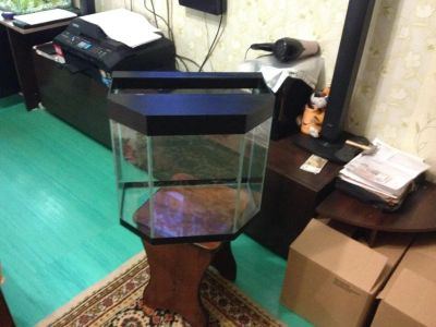 Лот: 6406535. Фото: 1. Аквариум 55 л панорама. Аквариумы, террариумы