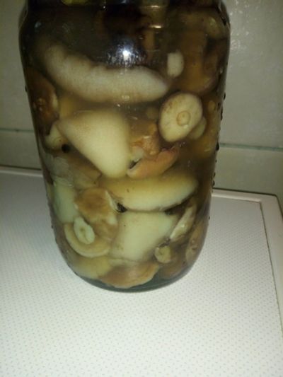 Лот: 16619658. Фото: 1. Маслята маринованные 05 объём. Грибы