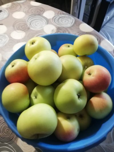 Лот: 19372625. Фото: 1. Яблоки Уральское наливное. Овощи, фрукты, зелень