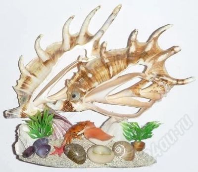 Лот: 537029. Фото: 1. Две рыбки из ламбиса. Ракушки... Другое (сувениры, подарки)