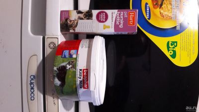 Лот: 17076756. Фото: 1. Для котят. Корма