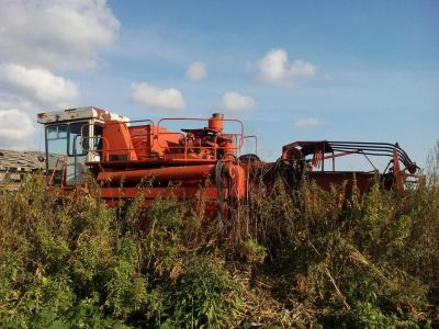 Лот: 8173332. Фото: 1. Комбайн Енисей. Грузовики, автобусы, спецтехника