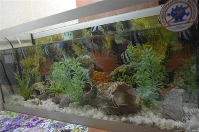 Лот: 2851616. Фото: 1. Аквариум 50 литров полный комплект... Аквариумы, террариумы