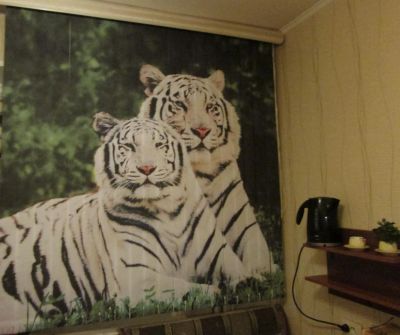 Лот: 6110487. Фото: 1. Вертикальные жалюзи с тиграми. Жалюзи