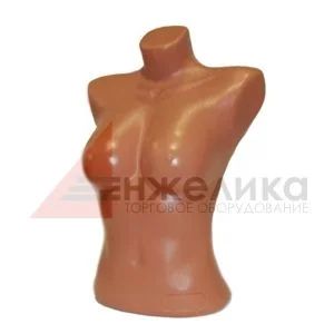Лот: 6949991. Фото: 1. Торс женский. Манекен. Торговое