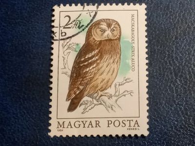 Лот: 25890187. Фото: 1. - Марки для Вашей коллекции. лот... Марки