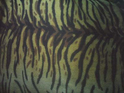 Лот: 10145149. Фото: 1. покрывало,легкое,синтетика,тигровая... Пледы, покрывала