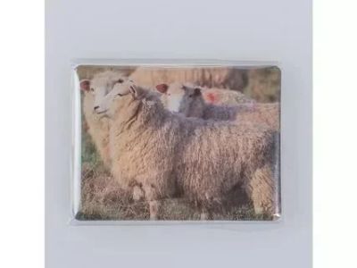 Лот: 14138802. Фото: 1. Магнит на холодильник "Две овечки... Магниты сувенирные