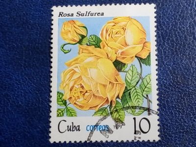 Лот: 25896569. Фото: 1. Марки Флоры и Фауны. лот №- 77057. Марки