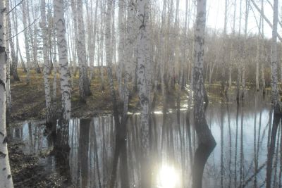 Лот: 4984425. Фото: 1. Участок с домиком в коттеджном... Дачи