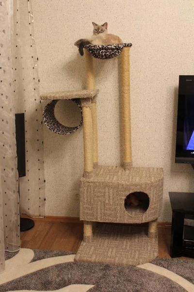 Лот: 3539333. Фото: 1. когтеточка домик для кошки. Домики, переноски, клетки, когтеточки