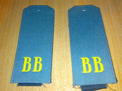 Лот: 7521866. Фото: 1. Погоны старого образца ВВ с рубля... Нашивки, шевроны, погоны