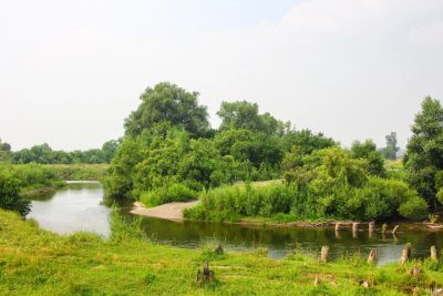 Лот: 13271997. Фото: 1. Участок под гараж в Сосновоборске. Земельные участки