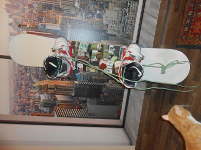 Лот: 4855435. Фото: 1. Сноуборд. Комплект в сборе