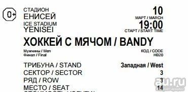 Лот: 13326196. Фото: 1. Билет на хоккей с мячом (финал... Билеты, талоны