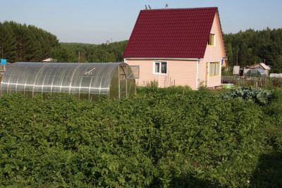 Лот: 4480367. Фото: 1. дача СНТ Полет за с. Еловое Емельяновский... Дачи