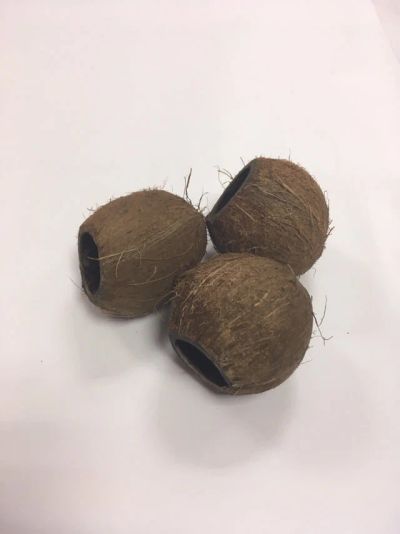 Лот: 12523903. Фото: 1. Кокос в аквариум. Грунты, украшения, наполнения