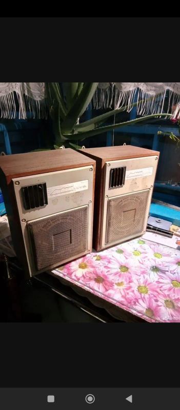 Лот: 25884767. Фото: 1. Акустика. Активные акустические системы