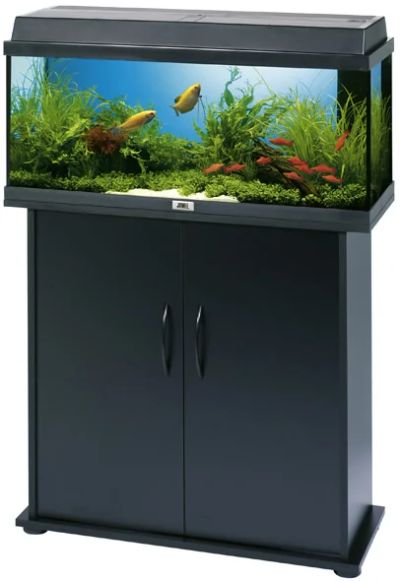 Лот: 3512404. Фото: 1. Аквариум JUWEL Rekord 80 черный. Аквариумы, террариумы