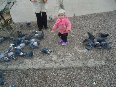 Лот: 1847717. Фото: 1. шубка на девочку. Верхняя одежда