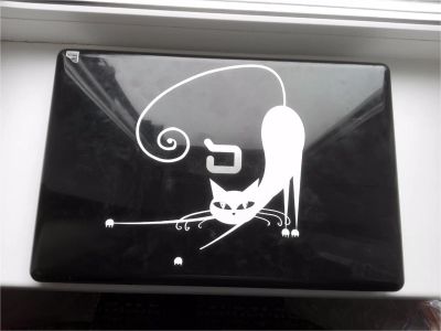 Лот: 8304662. Фото: 1. Compaq Presario CQ61-319ER. Ноутбуки