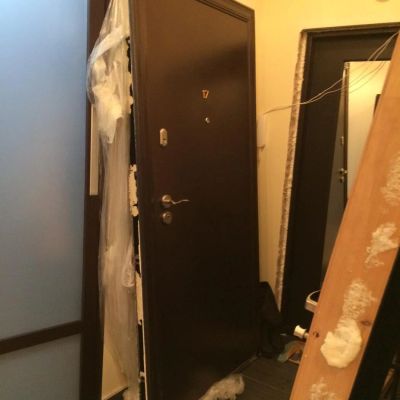 Лот: 4700648. Фото: 1. Входная дверь. Двери входные