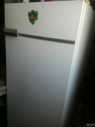 Лот: 13513569. Фото: 1. Холодильник Бирюса 6. Холодильники, морозильные камеры