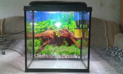 Лот: 3195682. Фото: 1. Аквариум 75 литров. Аквариумы, террариумы
