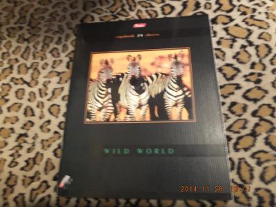 Лот: 4819040. Фото: 1. Тетрадь 24 л. клетка,024. Другое (учёба (школа, вуз))