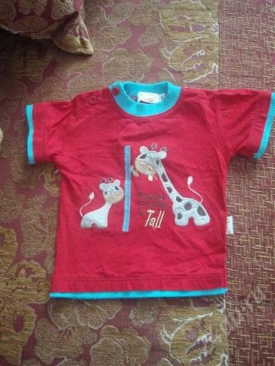 Лот: 266401. Фото: 1. футболка. Другое (дети растут)