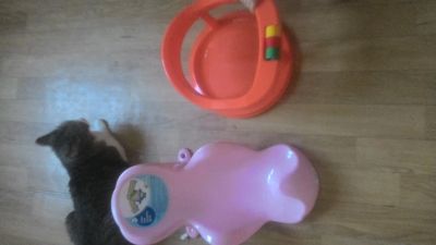 Лот: 12007156. Фото: 1. Детские вещи. Костюмы, пиджаки, комбинезоны