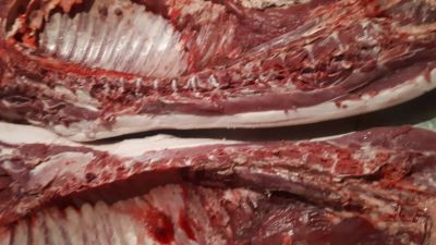 Лот: 15269400. Фото: 1. Свинина домашняя. Без химии!. Мясо, птица, яйцо