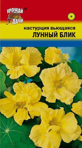 Лот: 12954886. Фото: 1. Семена настурции большой махровой... Садовые цветы