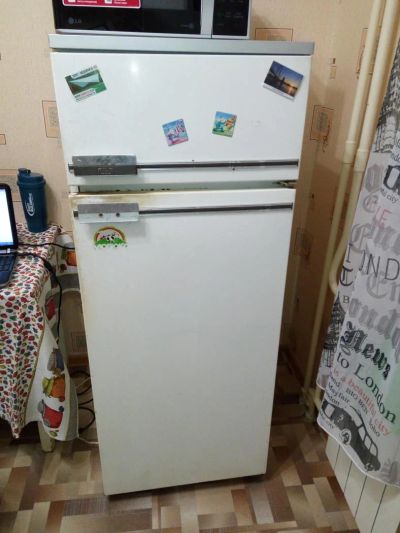 Лот: 6855666. Фото: 1. Холодильник Бирюса-21 Б/У. Холодильники, морозильные камеры