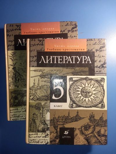 Лот: 18827250. Фото: 1. Курдюмова Учебник-хрестоматия... Для школы