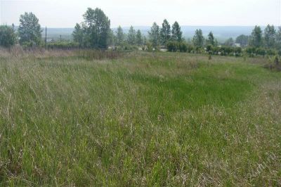Лот: 1023921. Фото: 1. Продается земля напротив оз. Емельяновское. Земельные участки