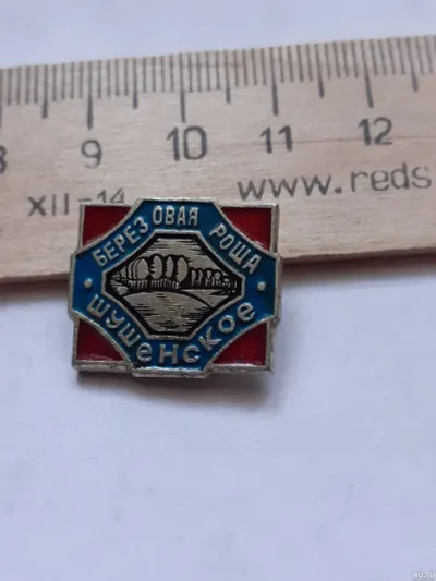 Лот: 19921769. Фото: 1. (№ 11555) значки Шушенское берёзовая... Другое (значки, медали, жетоны)