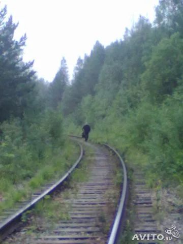 Лот: 3977172. Фото: 1. участок под дачу. Земельные участки