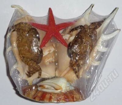 Лот: 536994. Фото: 1. Два краба на ламбисах2. Ракушки... Другое (сувениры, подарки)