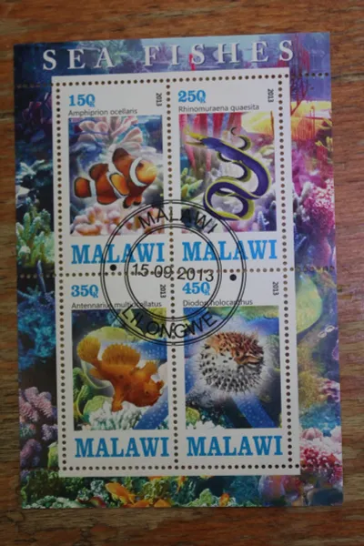 Лот: 21449811. Фото: 1. Малави 2013 Коралловые рыбки... Марки