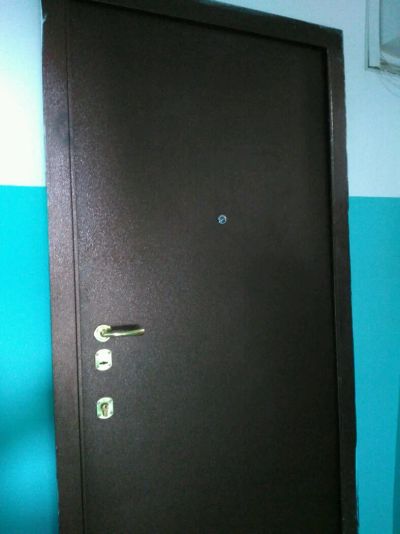 Лот: 7939398. Фото: 1. Дверь входная железная. Двери входные